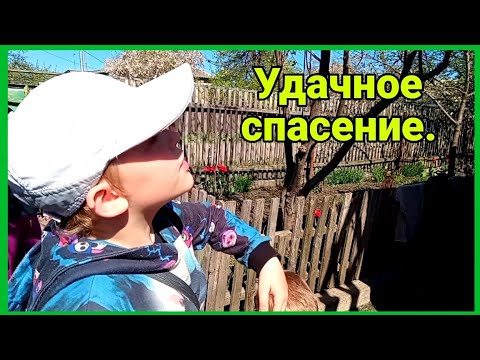 Видео: Святим Пасхи,выставка  и удачное спасение.
