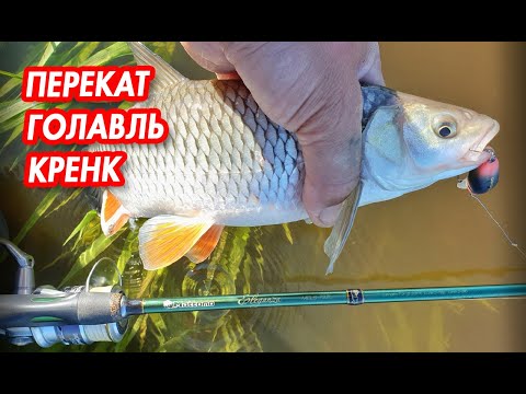 Видео: Ловля спиннингом на перекате. Подбор кренка для голавля.