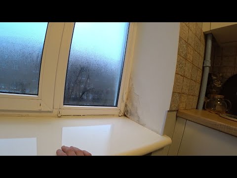 Видео: Чому цвітуть відкоси на вікні?