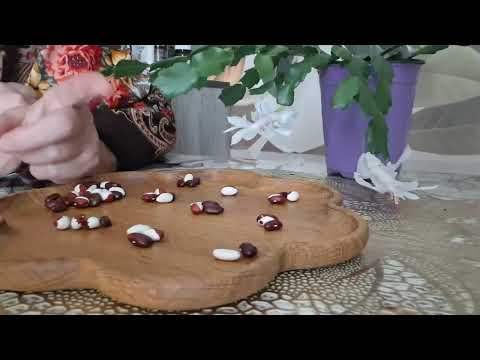 Видео: 14 ноября 2025 г.