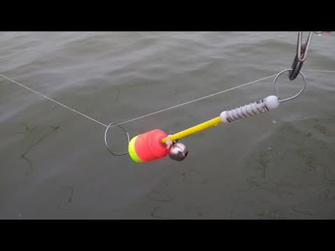 Видео: КАРП У КАМЫША рыбалка в Николаеве