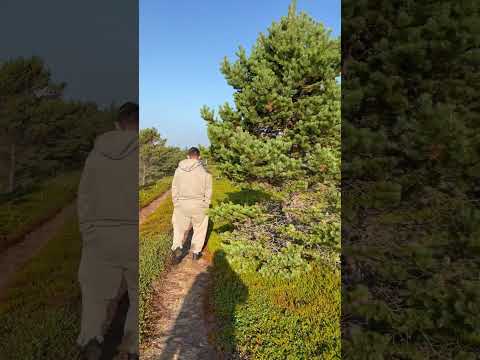 Видео: Мурманская область. Кольский полуостров. Белое море. Северная природа.