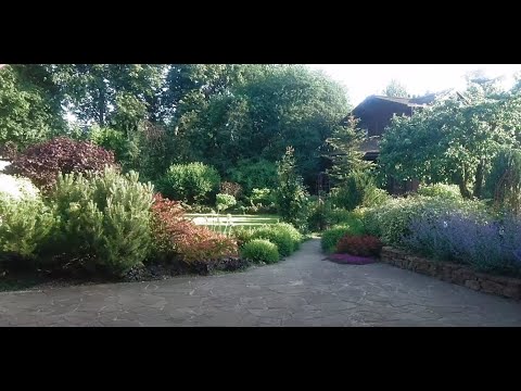 Видео: Ландшафтный дизайн. Обзор сада Ольги Джус (#обзорсада Июнь 22)