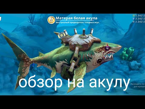 Видео: обзор на акулу матёрая белая акула 🦈 hungry shark world