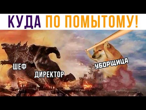 Видео: Куда по помытому! Бонк!) Приколы | Мемозг 592