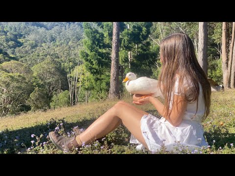 Видео: Что делает жизнь осмысленной