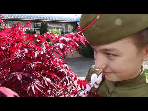 Видео: А закаты алые!