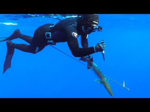Видео: 1 месяц рыбацкой жизни, день 4: Я пытался поймать Barracuda, которая тоже нападает на людей.