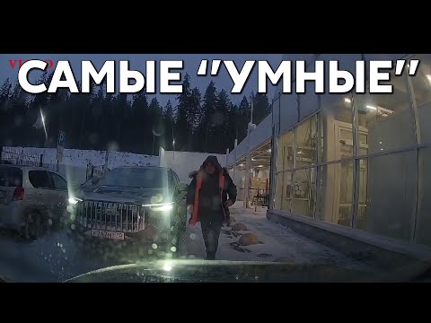 Видео: Подборка САМЫХ "УМНЫХ" водителей #1077