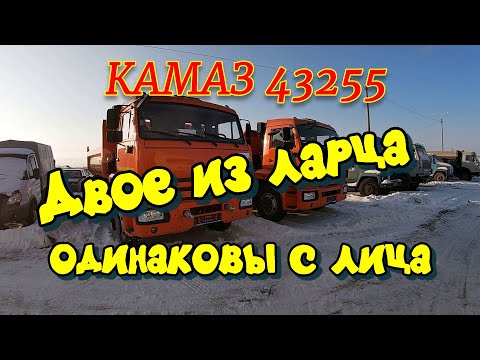 Видео: КАМАЗ 43255 . Обзор новой покупки. Двое из ларца , одинаковы с лица!!!!