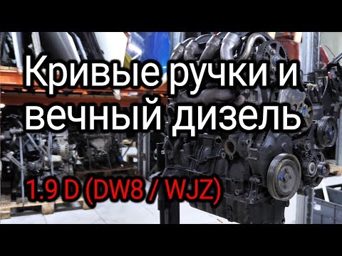 Видео: Что стучит в надежном, как "АК", дизеле 1.9D (DW8 / WJZ) от Peugeot и Citroёn?