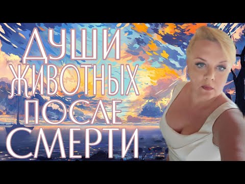 Видео: ДУШИ ЖИВОТНЫХ | ЭКСТРАСЕНС ЛИЛИЯ НОР