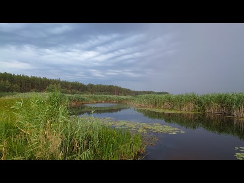 Видео: Поход 40км с ночевкой на р. Северский Донец