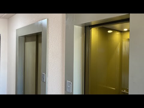 Видео: (036.0/2098) Лифты КМЗ 2024 г. / Шидловского 22 п1