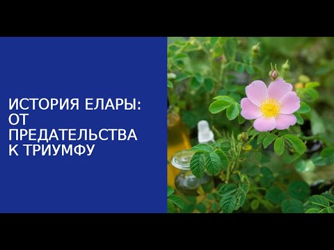 Видео: История Елары: как природа изменила её судьбу