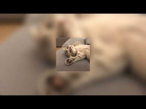 Видео: фабрика - романтика speed up