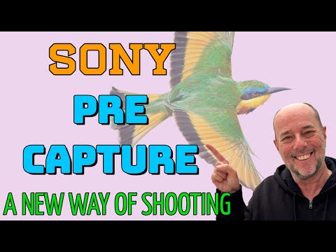 Видео: Sony Pre-Capture спасает пропущенные кадры! Как Энди Рауз использует её для съёмки дикой природы