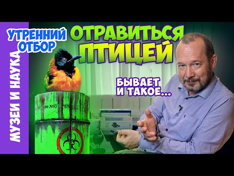 Видео: Два вида птиц пополнили список ядовитых животных. Ядовитые птицы далекие и близкие. Игорь Фадеев