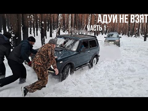 Видео: Как мы ехали на Адуй камень. Часть 1