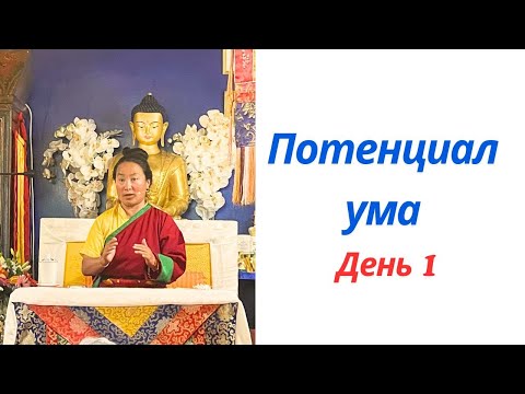 Видео: Потенциал ума – День 1