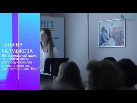 Видео: Послеродовой период у собак