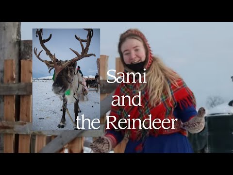 Видео: Тромсё, часть 1: народ сами и северные олени // Tromsø, part 1: Sami people and Reindeer