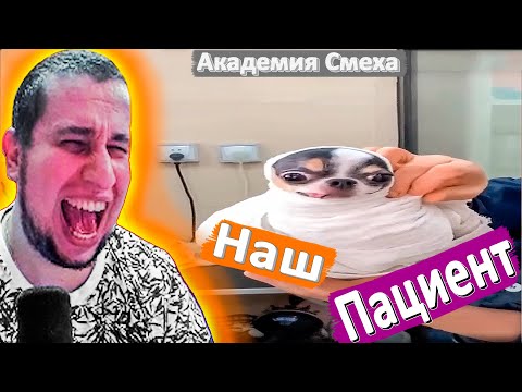 Видео: РЕАКЦИЯ MANYRIN СМОТРИТ "АКАДЕМИЯ СМЕХА" ЛУЧШИЕ ПРИКОЛЫ - МАНУРИН НАРЕЗКИ "НАШ ПАЦИЕНТ" #manyrin