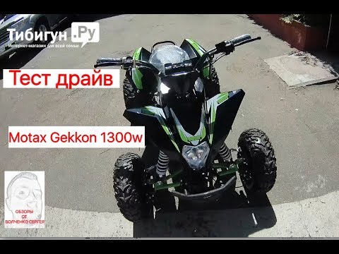 Видео: Тест драйв Motax Gekkon 1300w
