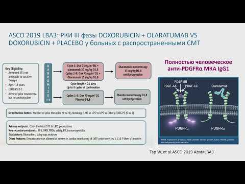Видео: Лекарственное лечение диссеминированных забрюшинных сарком:  где мы сейчас и что может ждать впереди