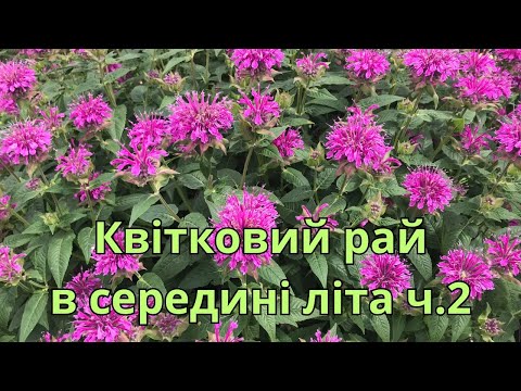 Видео: Квітковий рай в середині літа. ч.2