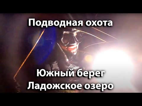 Видео: Подводная охота, по Ладожским камышам.