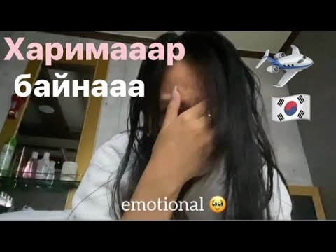 Видео: Солонгост ирсэн эхний өдрөө уйлсан нь 🥹🇰🇷