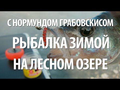 Видео: ЗИМНЯЯ РЫБАЛКА на ОЗЕРЕ с НОРМУНДОМ ГРАБОВСКИСОМ на ЖЕРЛИЦЫ и УДОЧКУ