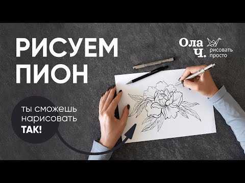 Видео: Как нарисовать пион – Уроки рисования для начинающих – Ола Ч.