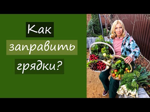 Видео: Как заправить грядки? И многое другое