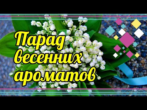 Видео: КРАСИВЕЙШИЕ АРОМАТЫ НА ВЕСНУ! И ДЛЯ ДЕВОЧЕК ТОЖЕ )