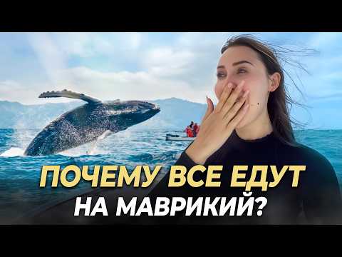 Видео: Африка для богатых — МАВРИКИЙ: плавание с китами, истребление додо, развод и неудачное ЭКО