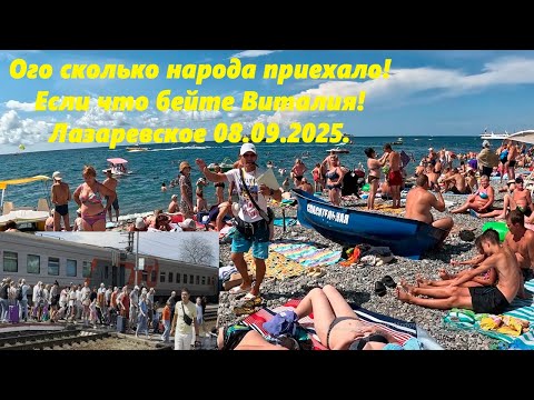 Видео: Если что бейте Виталия!  Лазаревское ,сентябрь 2025