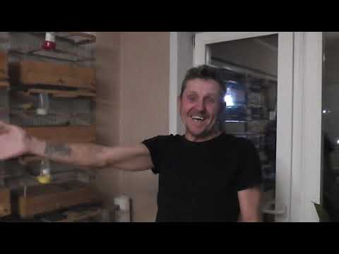 Видео: Канарейки у Ивановича. Снегири, размножение Амадин.