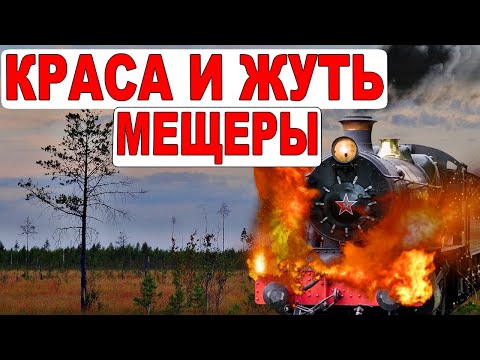 Видео: Сгоревшая заброшка. Тайны Мещеры. Пеший одиночный поход в лес. УЖД. Заброшенные деревни