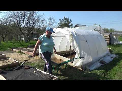 Видео: НА ДАЧЕ//ПРОСТОЙ ПАРНИК -ТЕПЛИЦА ЗА ЧАС ЖЕНСКИМИ РУКАМИ.