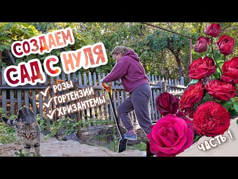 Видео: ОБЛАГОРАЖИВАЕМ УЧАСТОК, осенняя посадка цветов