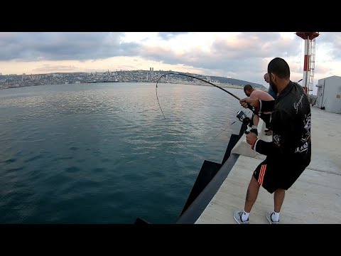Видео: Сумасшедший улов. Рыбалка в запрещённом месте. 😱😱😱 תפיסה מטורפת. דיג באזור אסור