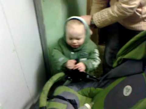 Видео: мелкий, попытка зайти в лифт