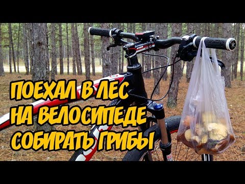 Видео: Катаюсь на велосипеде по лесу и собираю грибы