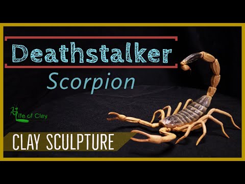 Видео: Скульптура Скорпиона-сталкера (Leirus quinquestriatus) @LifeofClay