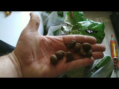 Видео: Керамзит для фитофильтра