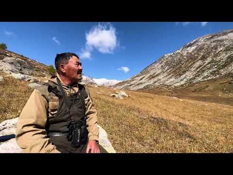 Видео: Төрқуыс жайлауы