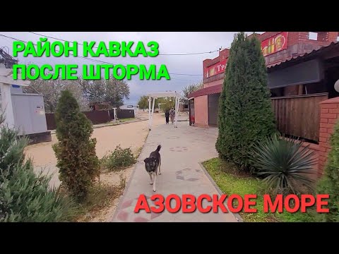 Видео: Пляж района Кавказ. #Голубицкая Одни сторожа, собаки и Океан.