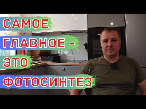 Видео: УРОЖАЙ Полевых Культур. КАК ДОСТИЧЬ МАКСИМУМА!!